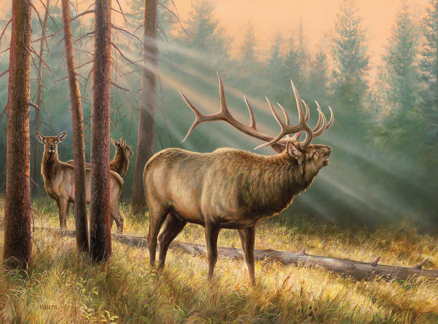 654-2032 Product Image 1