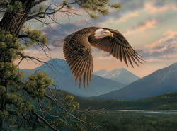 Image of Puzzle Majestic Moment 1000 Pc.