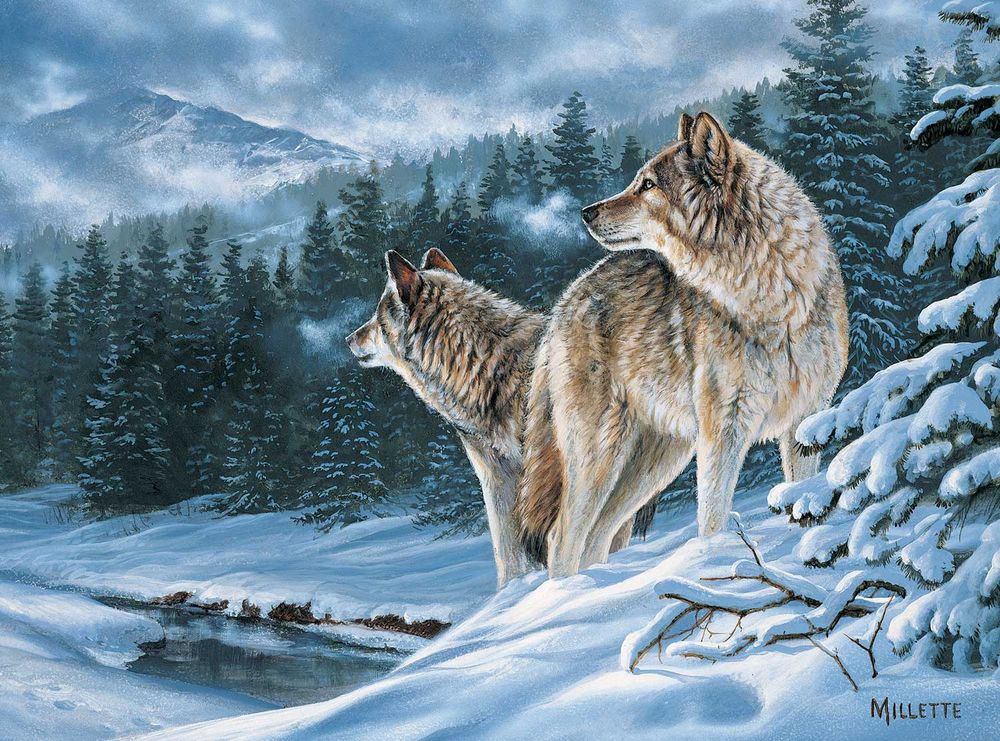 654-2034 Product Image 1