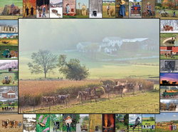 Image of Puzzle Teamwork 1000 Pc.