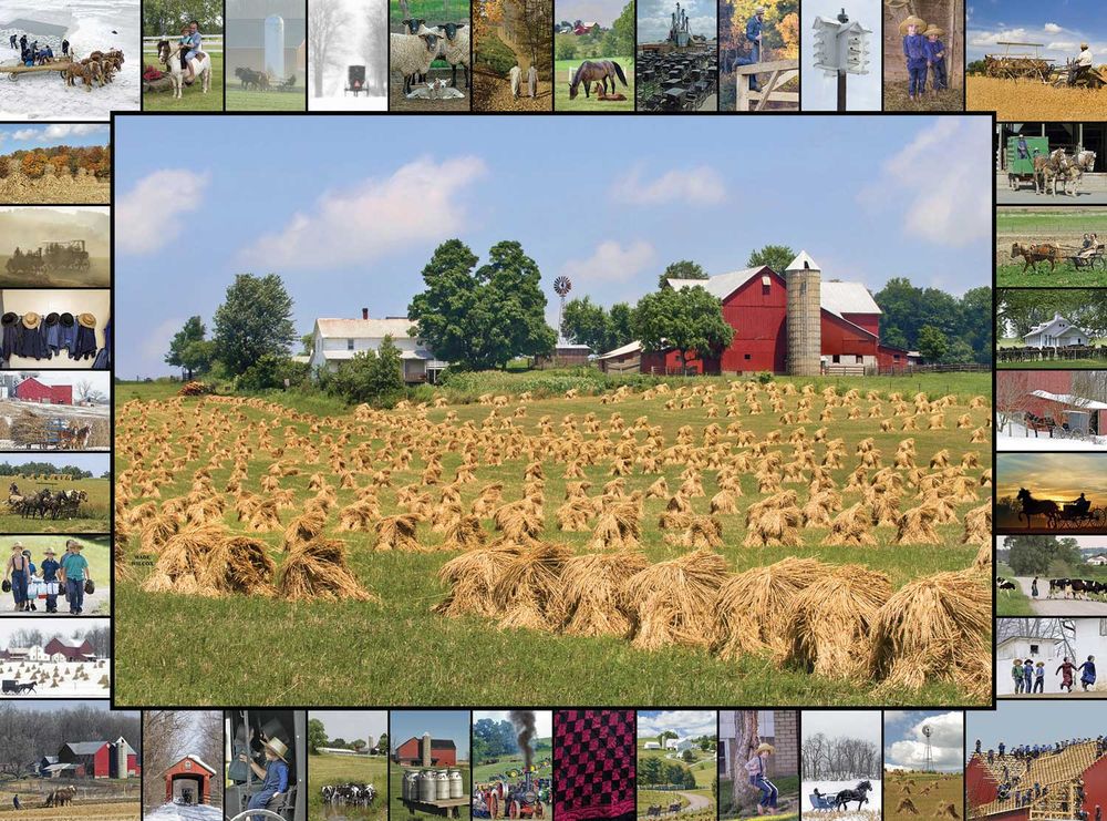 654-2038 Product Image 1