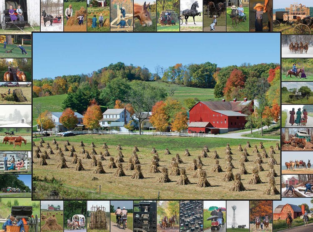 654-2039 Product Image 1