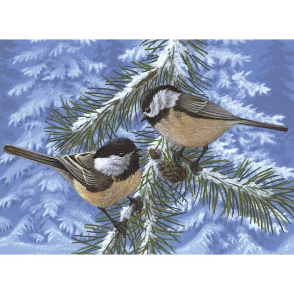 658-0348 Product Image 1