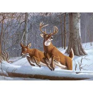 Paint by Numbers | White Tails