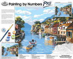 Image of Paint by Number Pro Village on the Water
