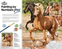 Image of Paint by Number Pro Galloping Horses