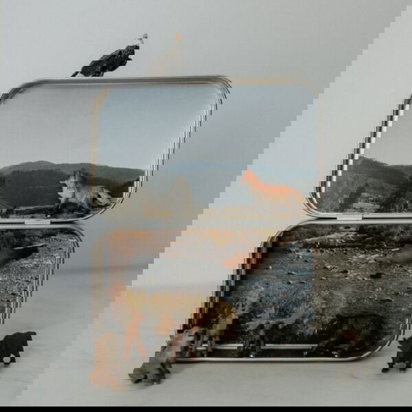 660-0115 Product Image 1