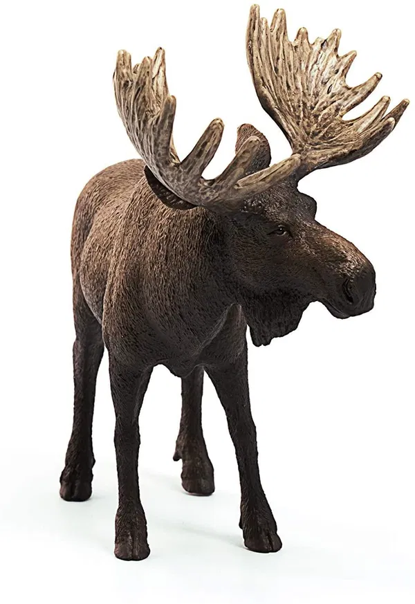 660-0752 Product Image 4