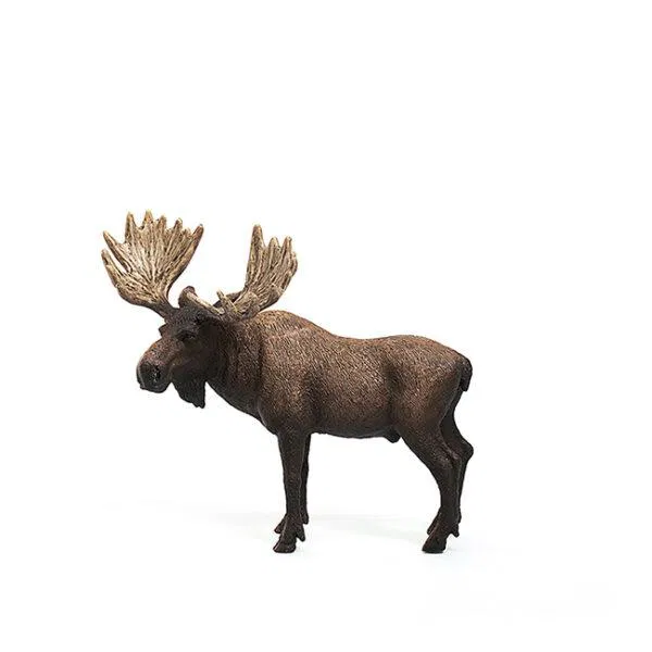 660-0752 Product Image 5