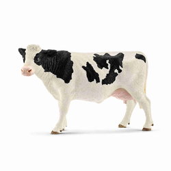 Image of Holstein Cow