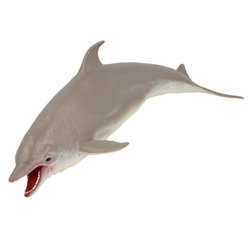 Image of Dolphin Water Soaker