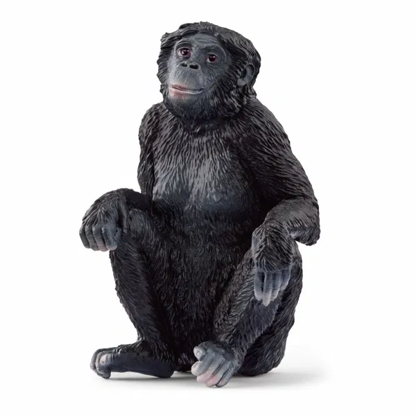 660-2195 Product Image 1