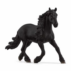 Image of Friesian Stallion