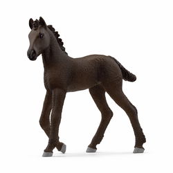 Image of Fresian Foal