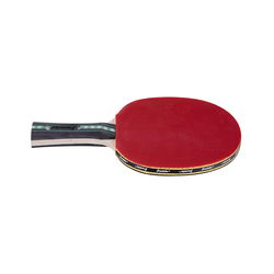 Image of Table Tennis Paddle Procore