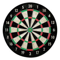 Image of Pro Wire Bristle Dartboard