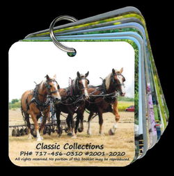 Image of Flip Cards Child’s First Booklet 13 cards