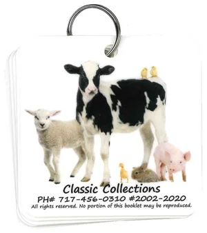 Flip Cards Child's First Booklet 5 cards