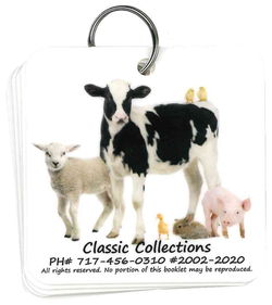 Image of Flip Cards Child’s First Booklet 5 cards