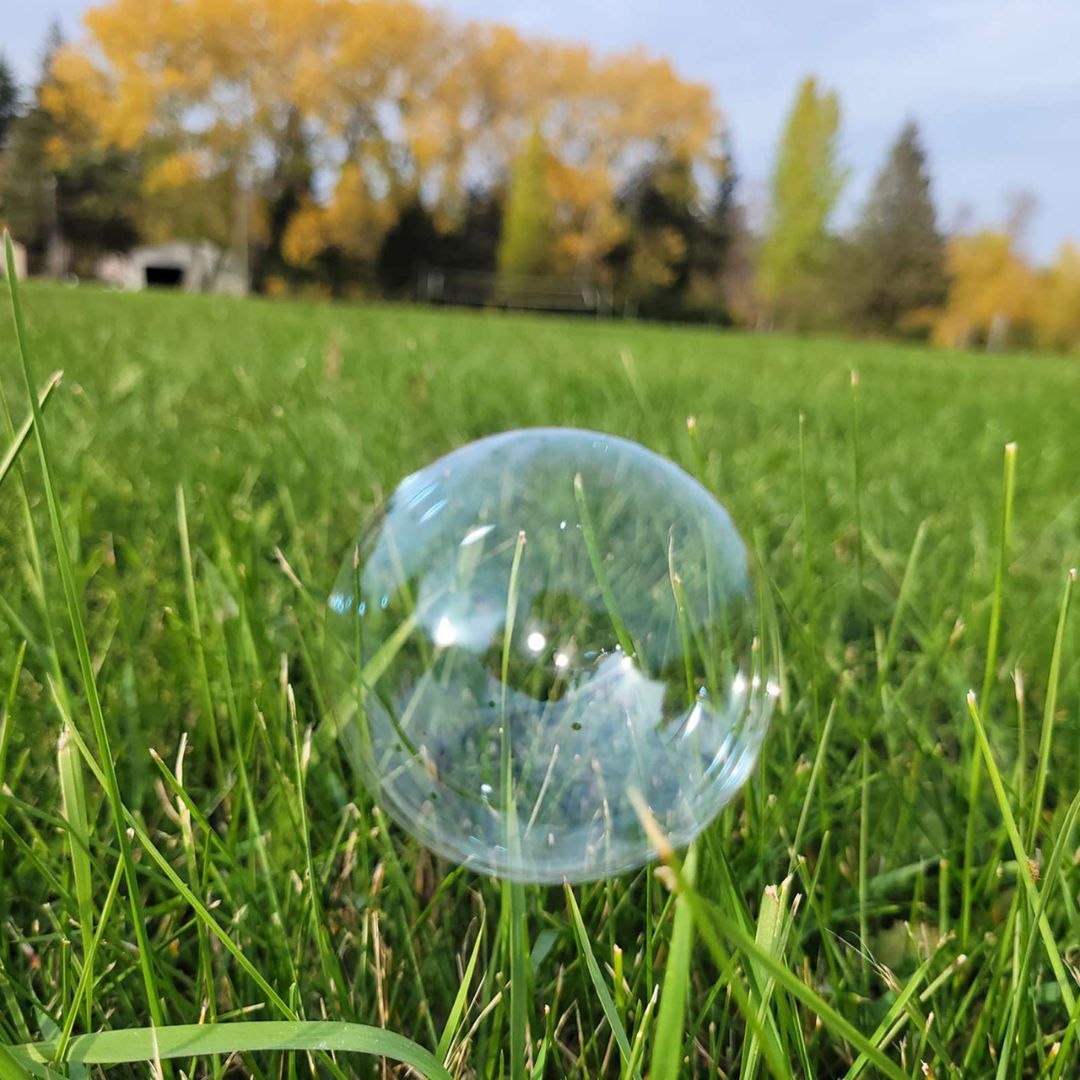 660-3680 Product Image 3