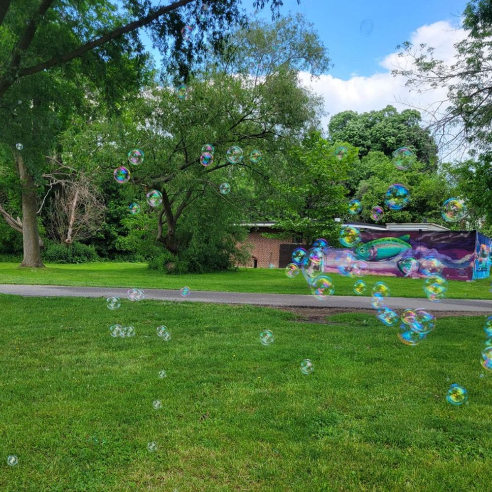 660-3681 Product Image 3