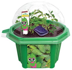 Image of Morgan the Mighty Mover Micro Terrarium