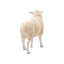 662-0008 Product Image 2