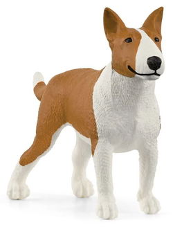 Image of Bull Terrier