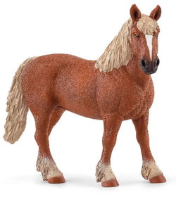 Image of Belgian Draft Horse