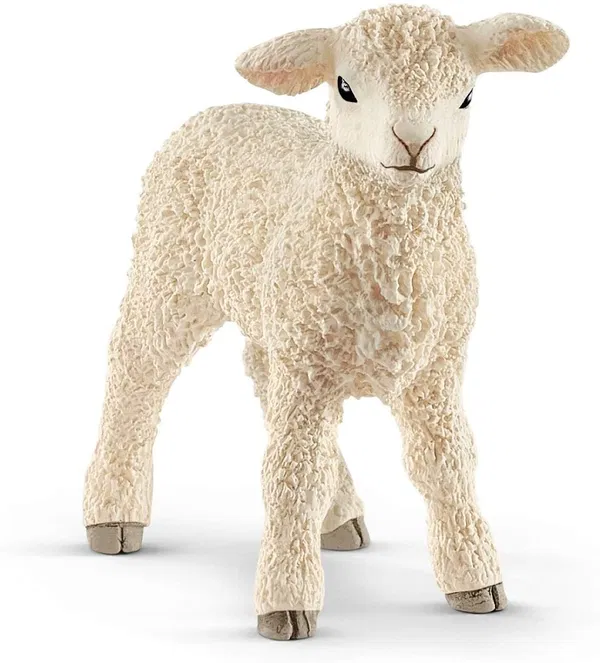 662-0036 Product Image 1