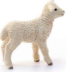 662-0036 Product Image 2