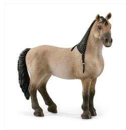 Image of Criollo Definitivo Mare