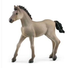 Image of Criollo Definitivo Foal