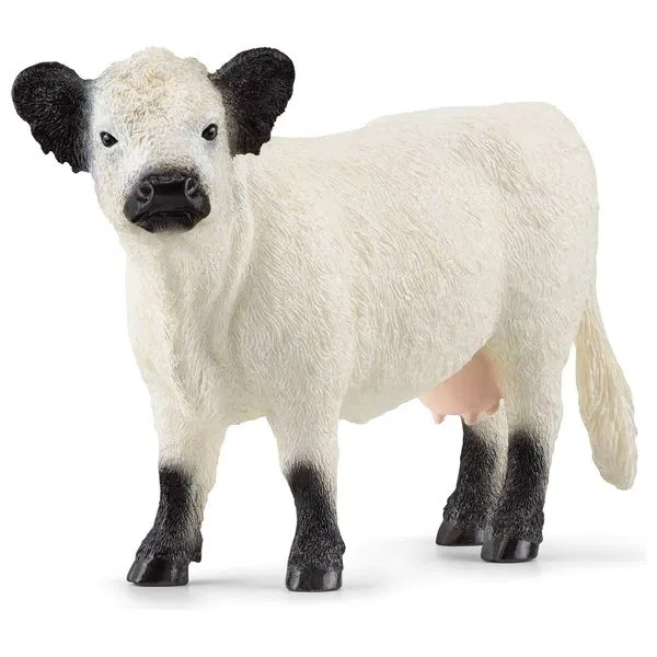662-0069 Product Image 1