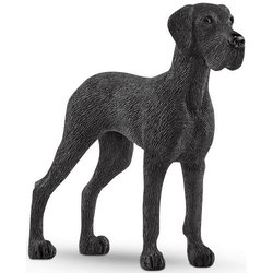 Image of Great Dane