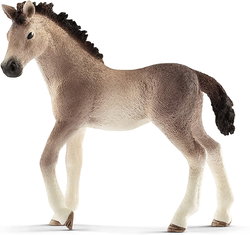 Image of Andalusian Foal
