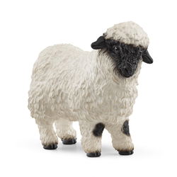 Image of Valais Black-Nosed Sheep