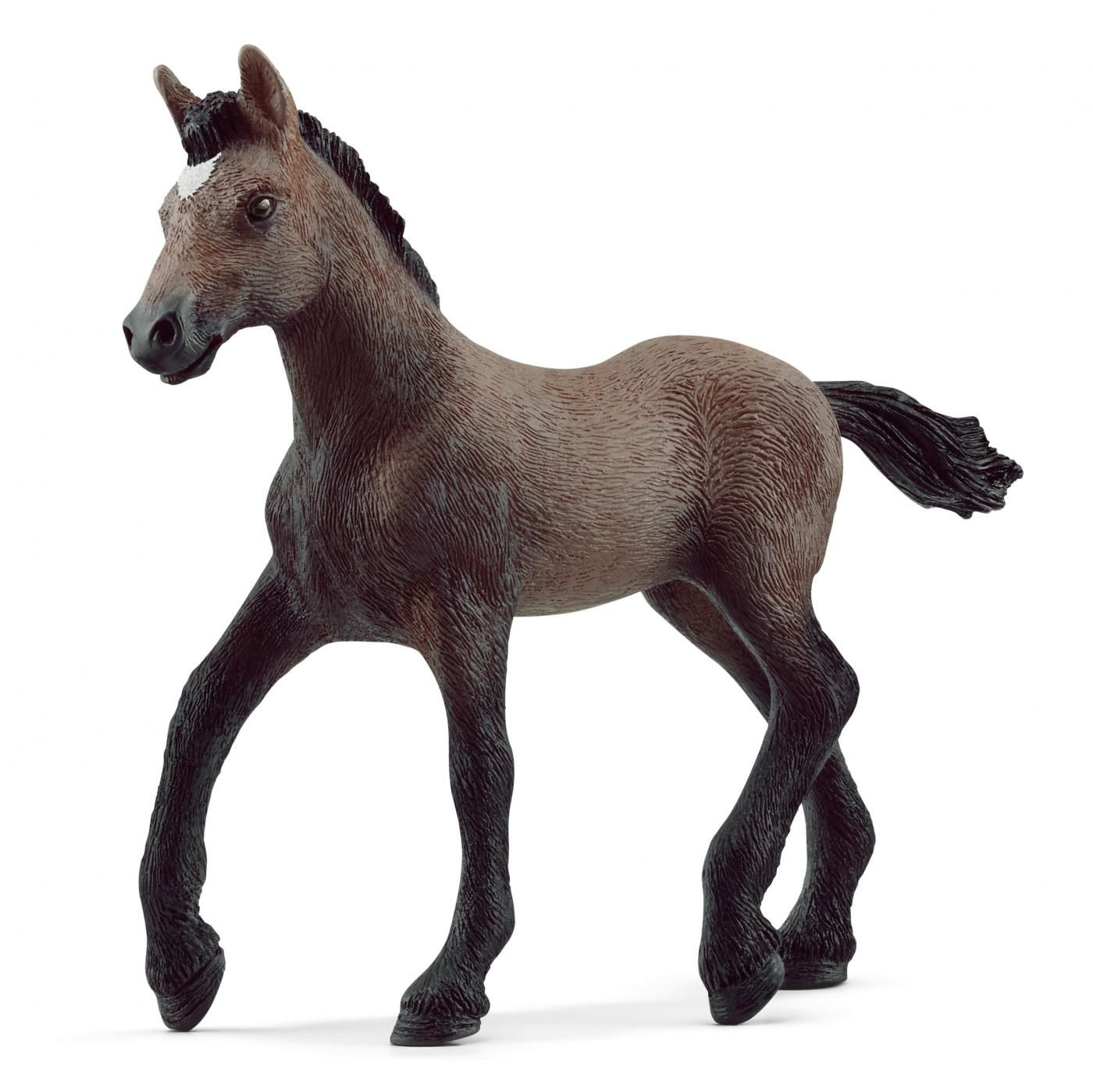 Image of Paso Peruano Foal