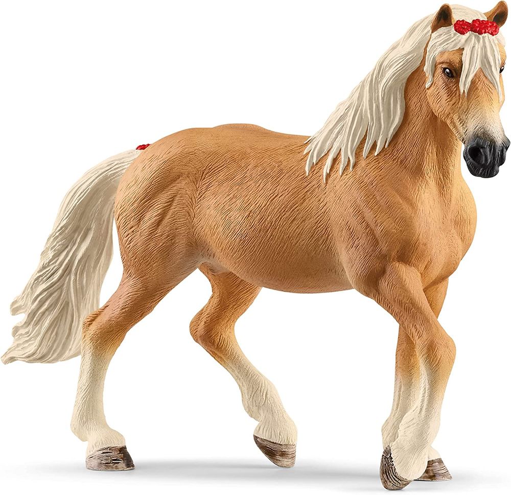 Image of Haflinger Mare