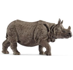 Image of Indian Rhinoceros