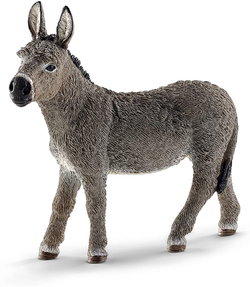 Image of Donkey