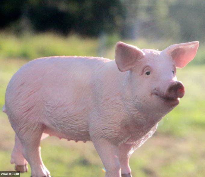 662-0158 Product Image 5