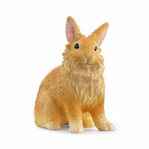 Lionhead Rabbit