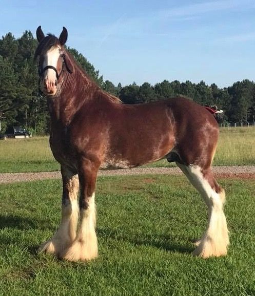 662-0166 Product Image 6