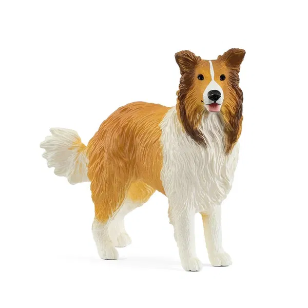 662-0194 Product Image 1