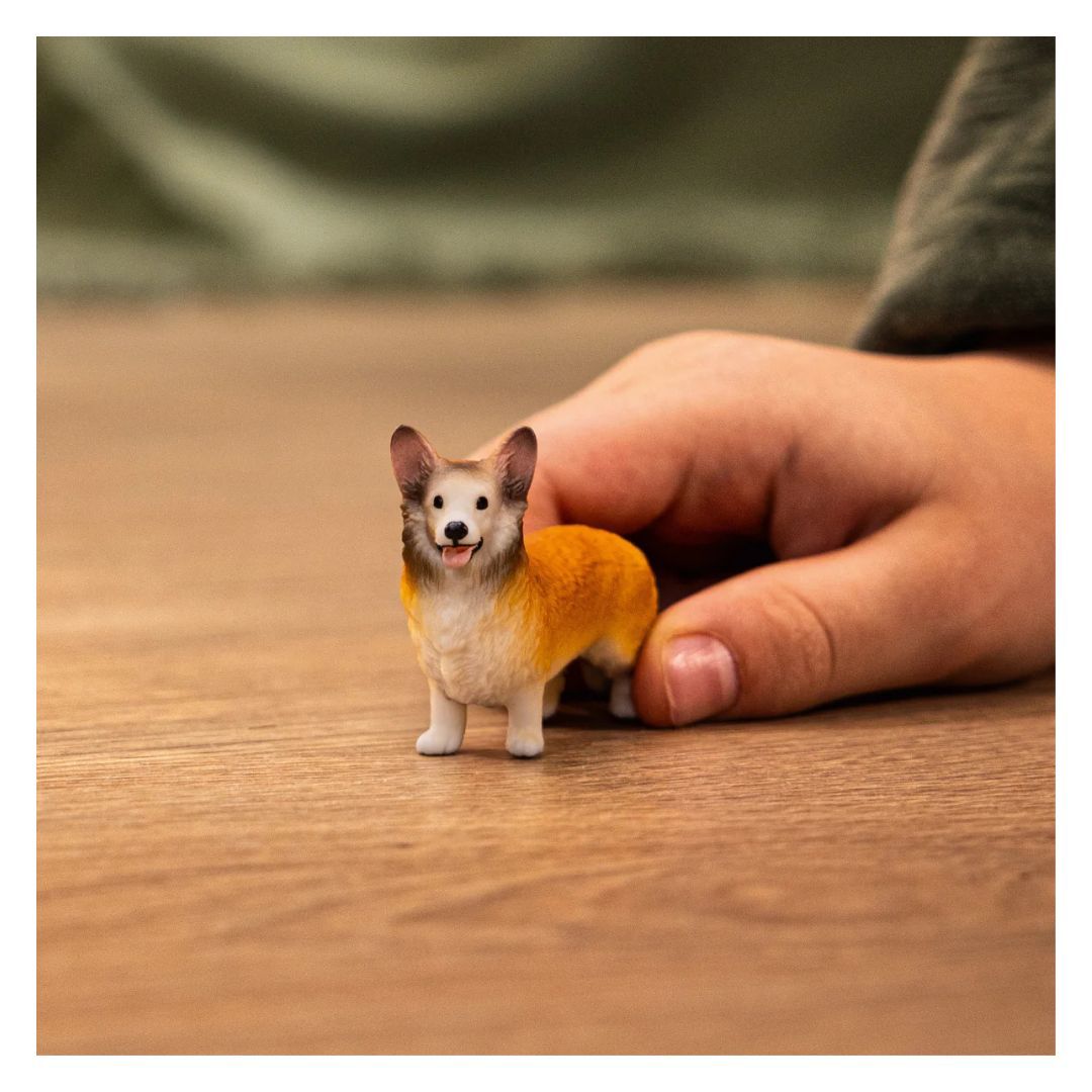 662-0195 Product Image 2