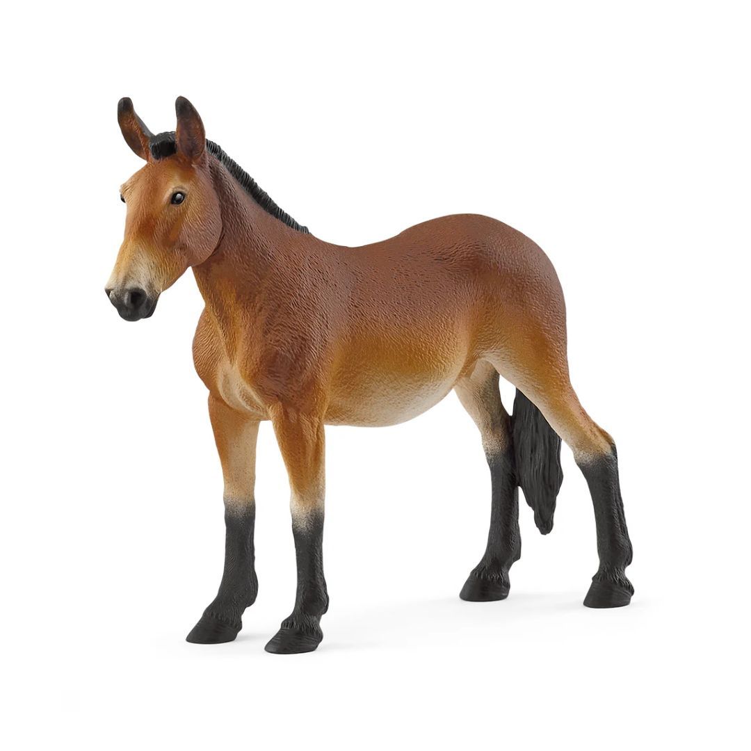 662-0198 Product Image 1