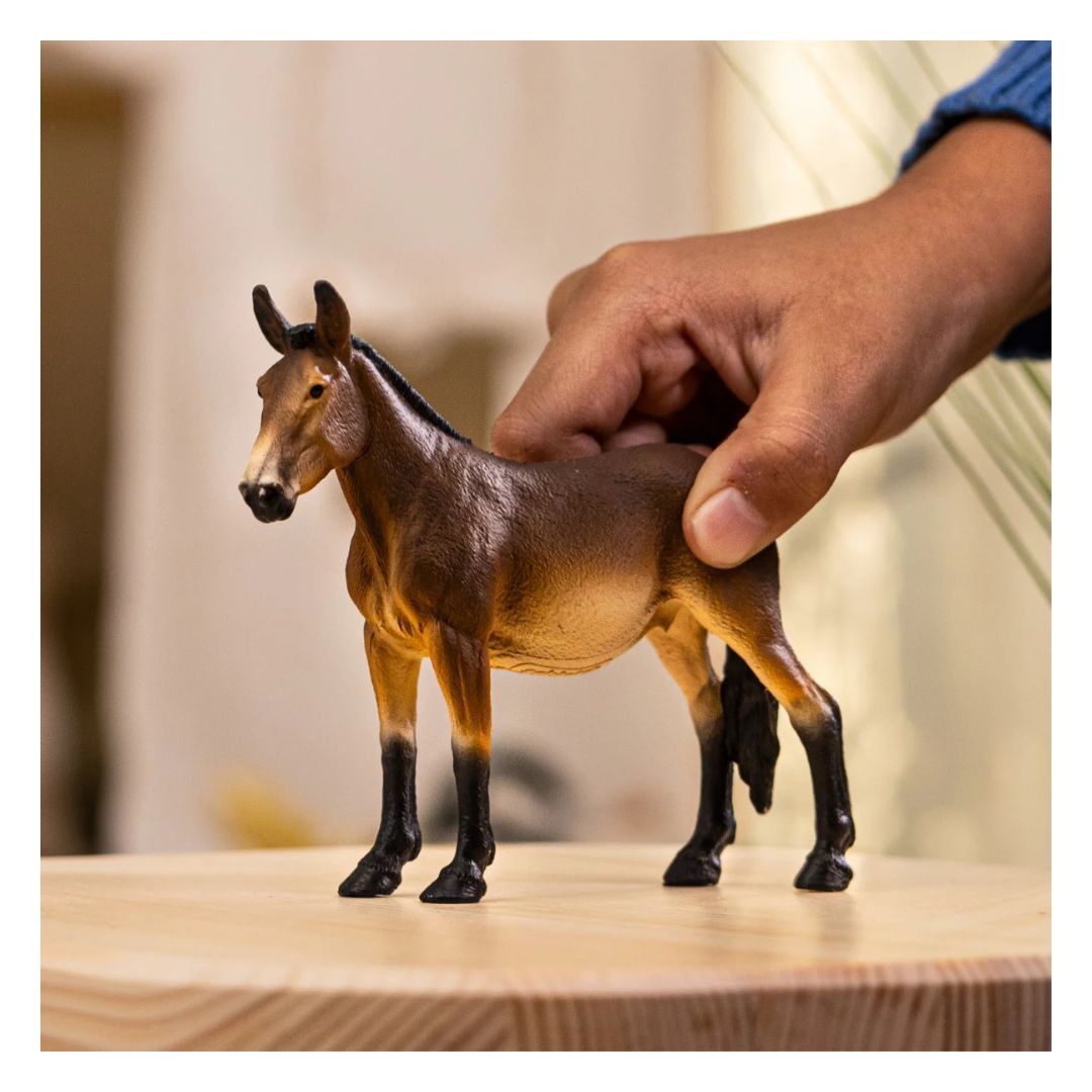 662-0198 Product Image 2