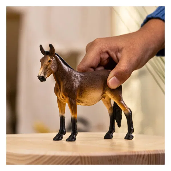 662-0198 Product Image 2