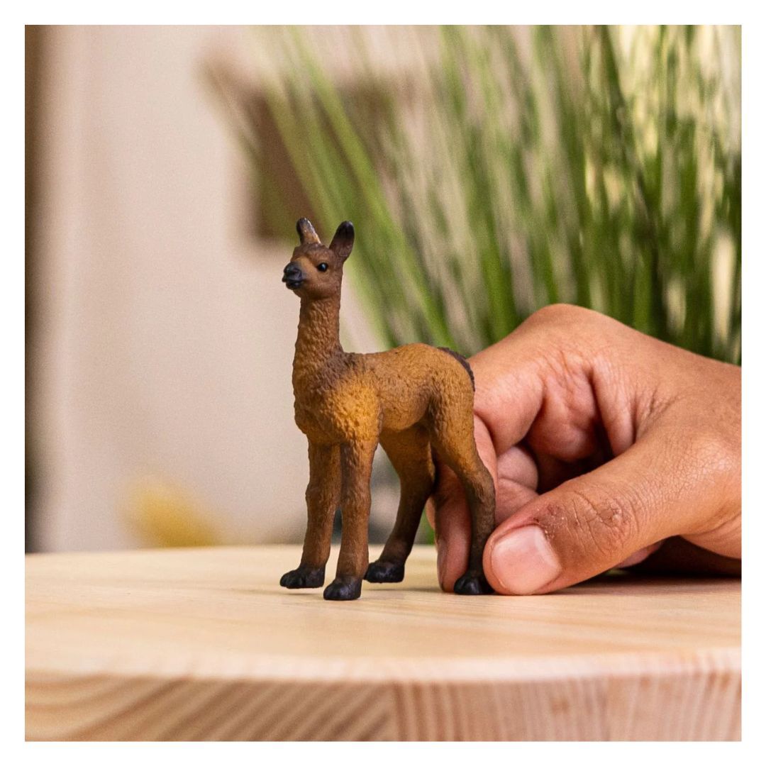 662-0199 Product Image 2